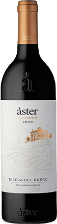 Áster Ribera del Duero